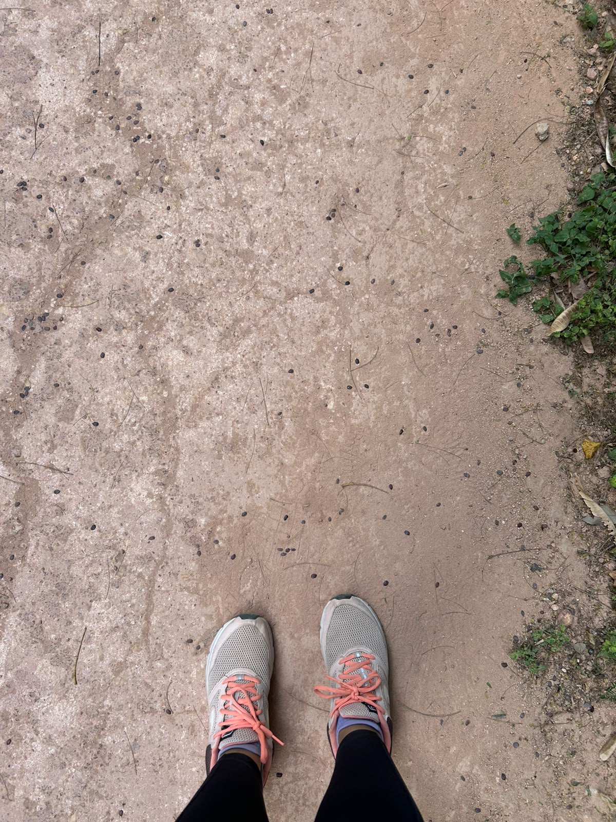Trail run